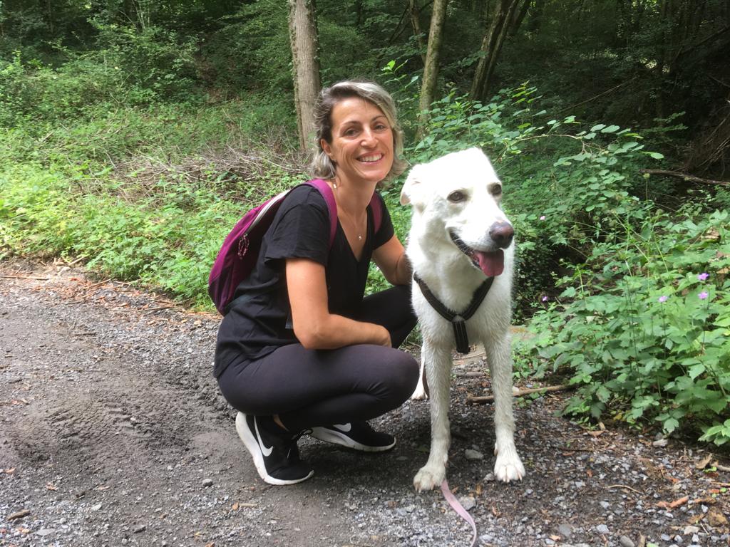 Il cane e la percezione della realtà