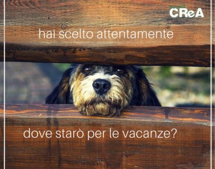 vacanze cane