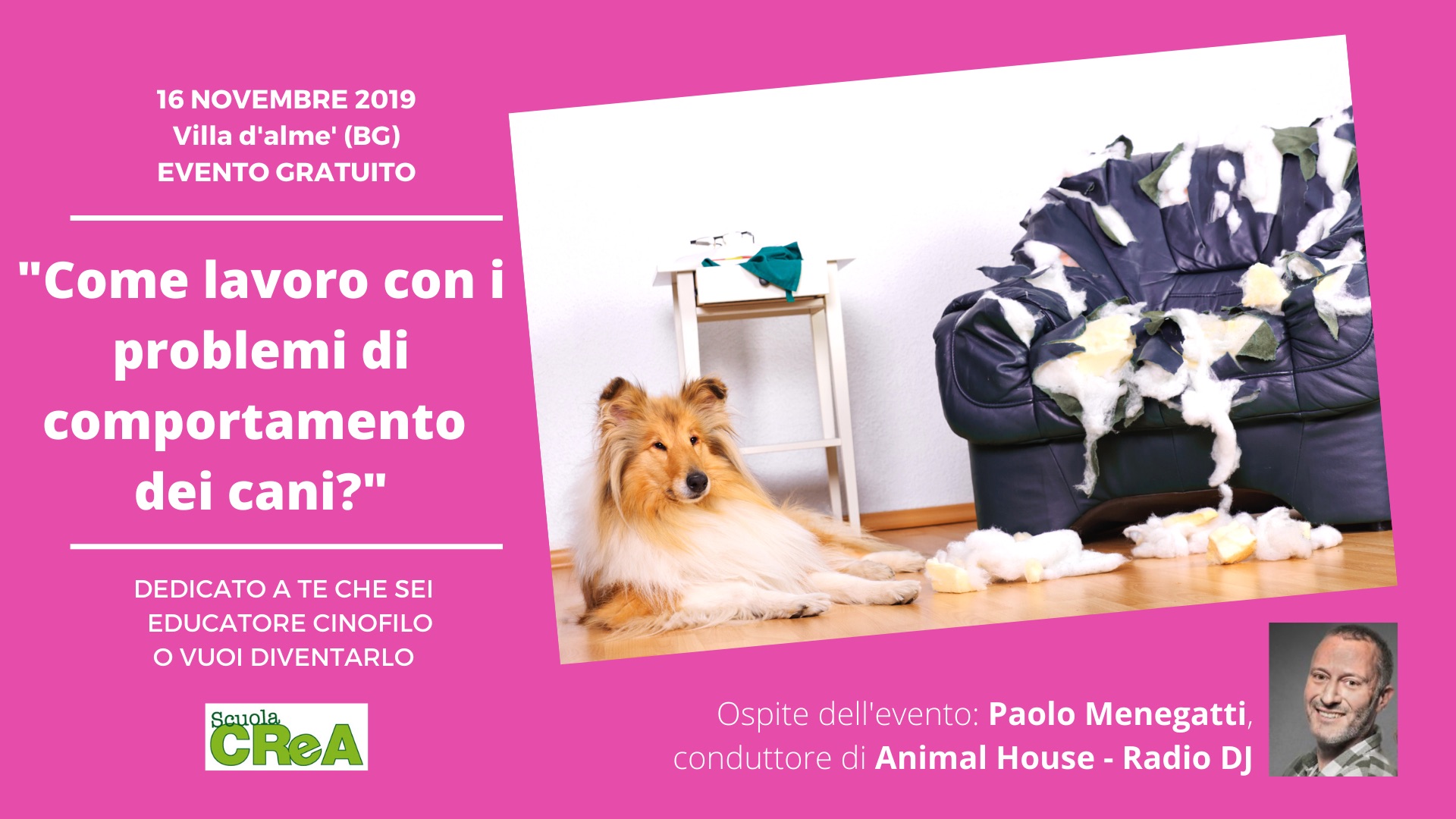 Come lavoro con i problemi di comportamento dei cani?