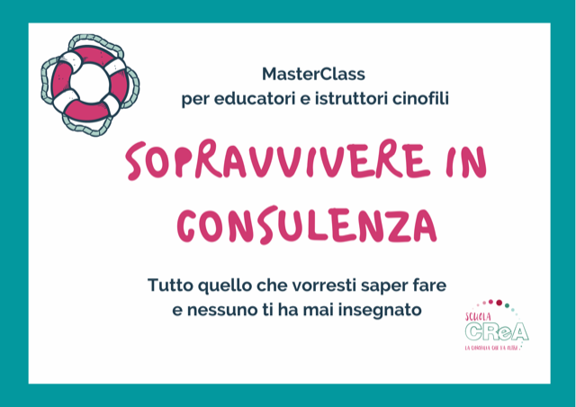 Sopravvivere in consulenza