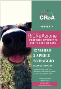 Segui la traccia 2022